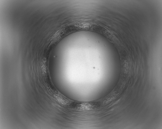 X0000052560612200507152228