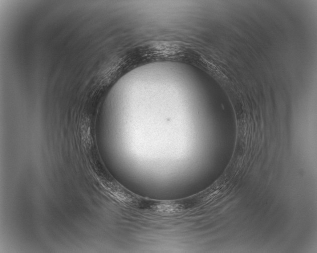 X0000052560615200507152228