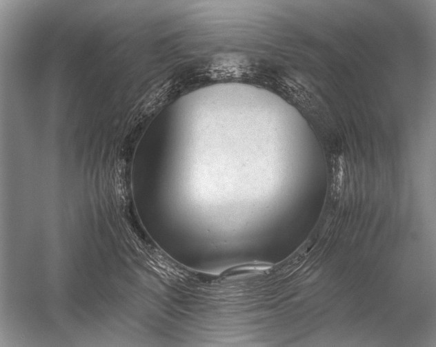 X0000052560616200507152228