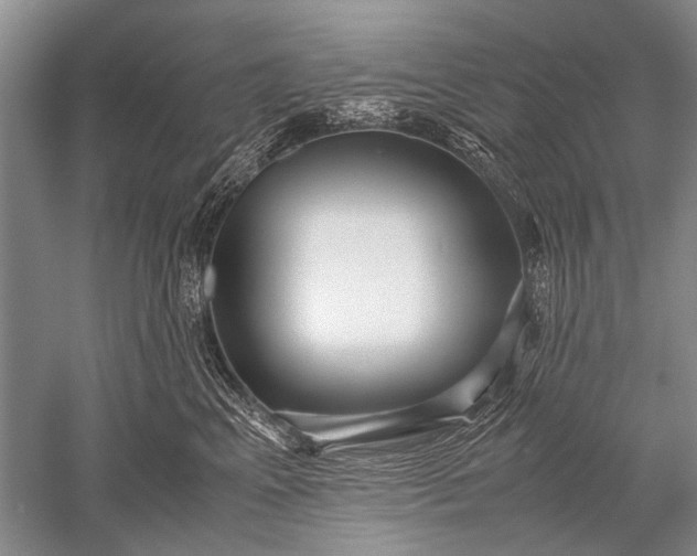 X0000052560617200507152228