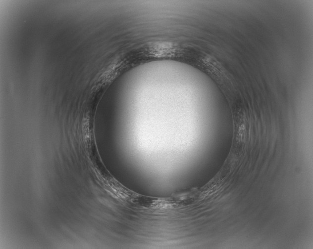X0000052560620200507152227