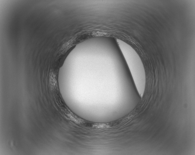 X0000052560621200507152227