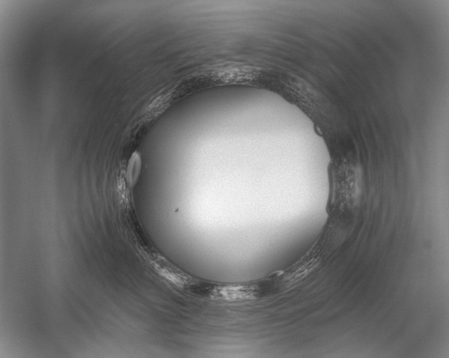 X0000052560622200507152227
