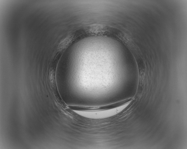 X0000052560623200507152227