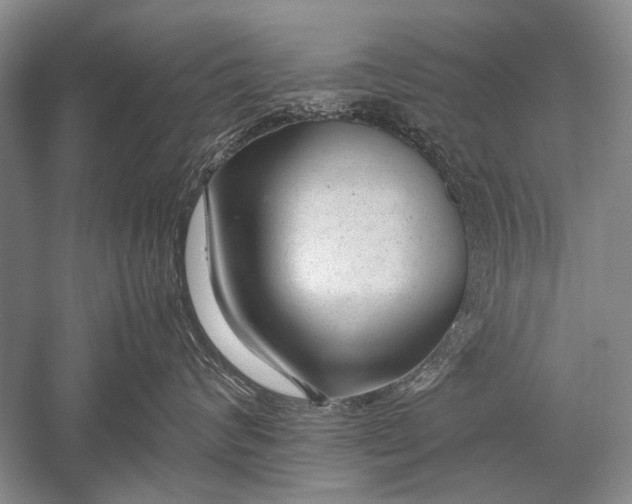 X0000052560624200507152227