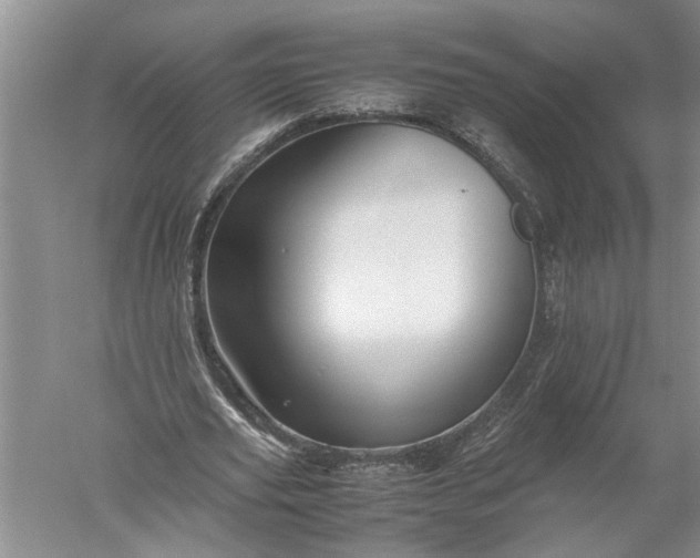 X0000052560629200507152227