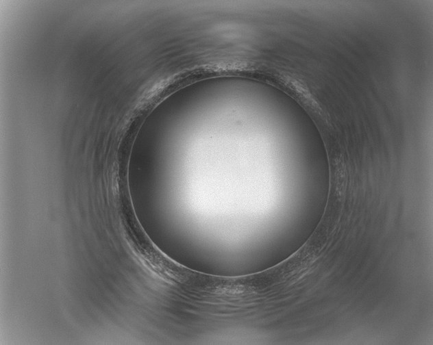 X0000052560631200507152227
