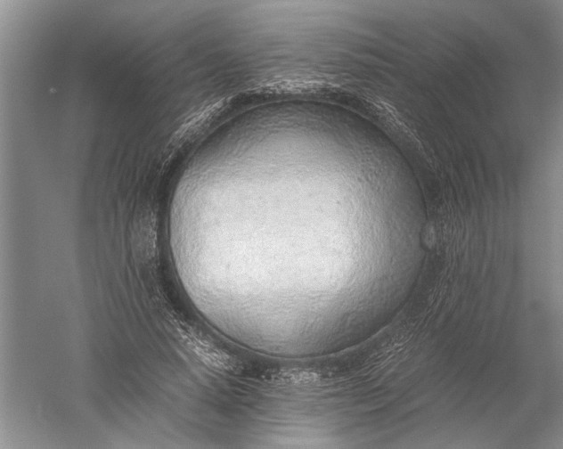 X0000052560640200507152227