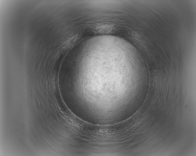 X0000052560641200507152227