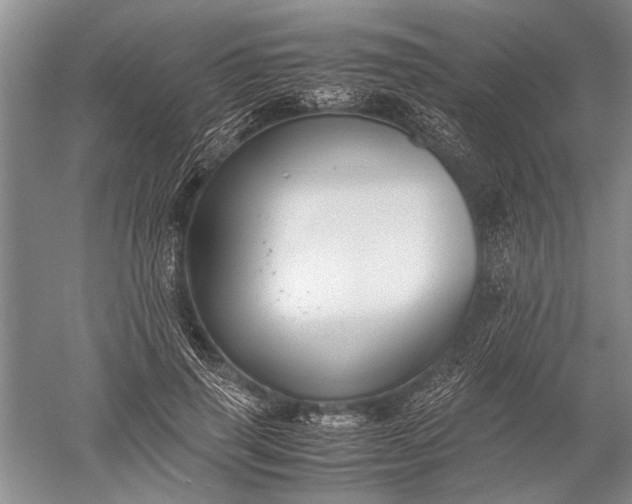 X0000052560645200507152227