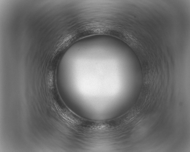 X0000052560646200507152227