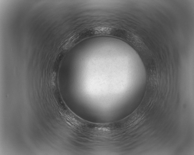 X0000052560649200507152227