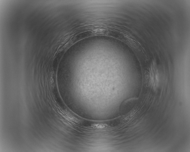X0000052560654200507152227