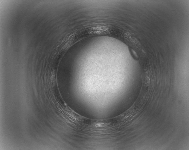 X0000052560657200507152227