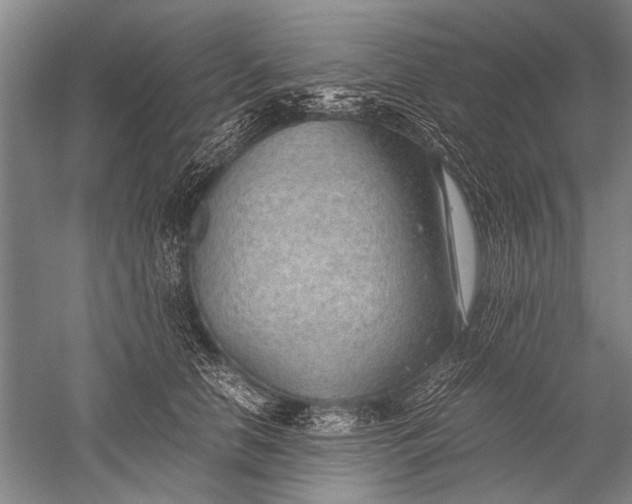 X0000052560658200507152227