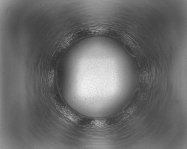 X0000052560660200507152227