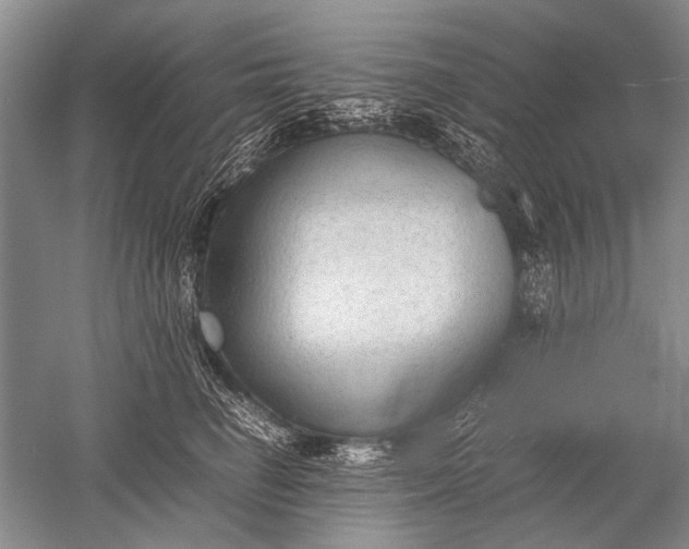 X0000052560662200507152227