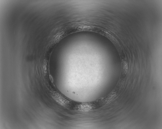 X0000052560668200507152227