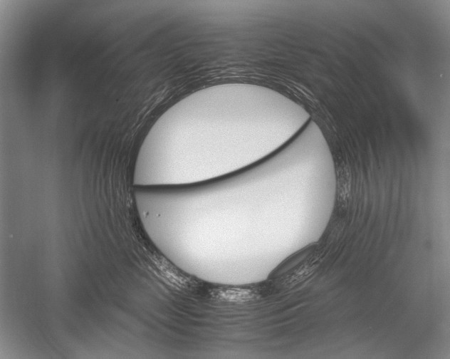 X0000052560669200507152227
