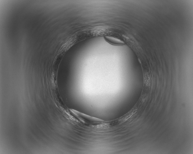 X0000052560670200507152227