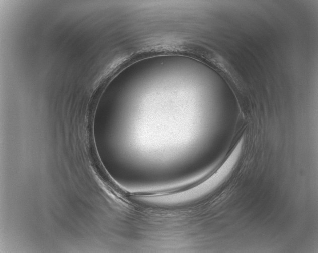 X0000052560677200507152226