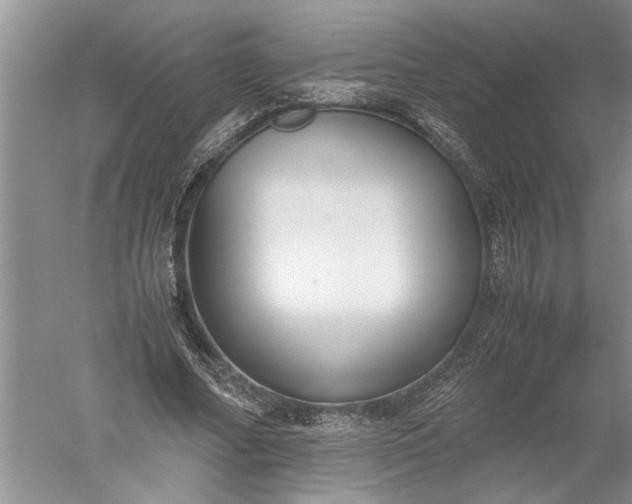 X0000052560682200507152226