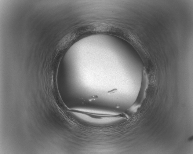 X0000052560685200507152226