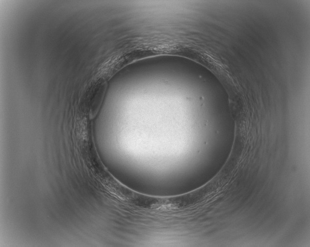 X0000052560689200507152226