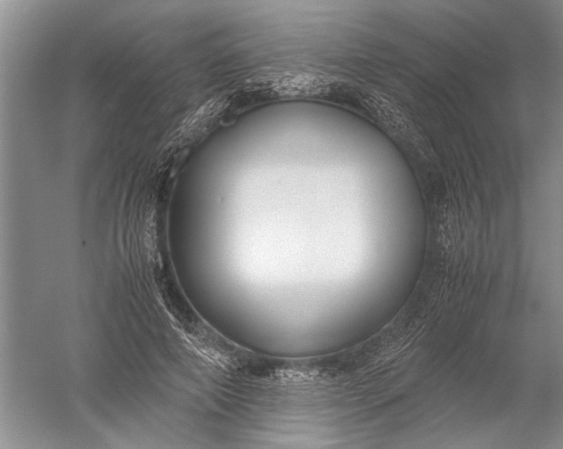 X0000052560690200507152226
