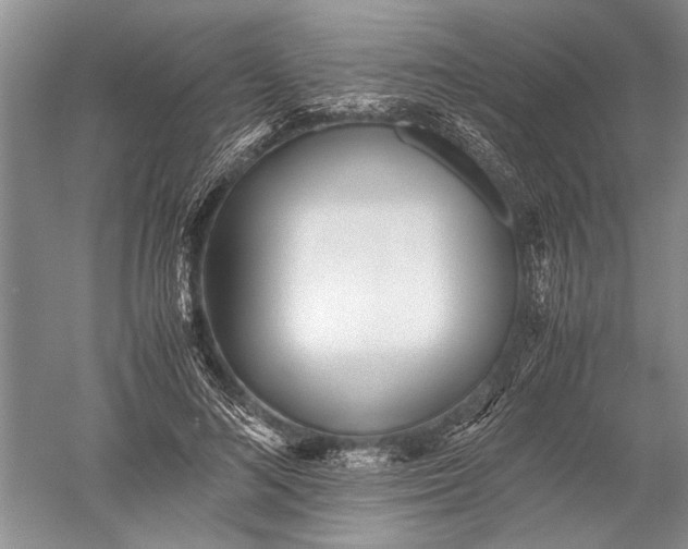 X0000052560692200507152226