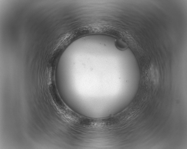 X0000052560694200507152226