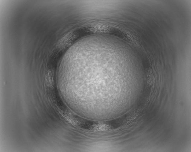 X0000052560695200507152226