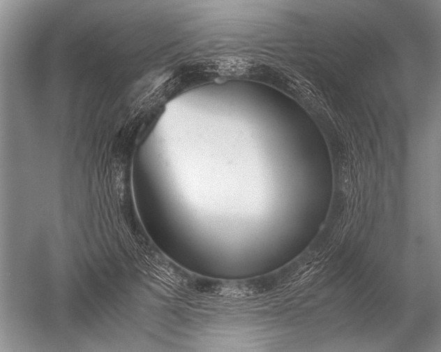 X0000052560697200507152226