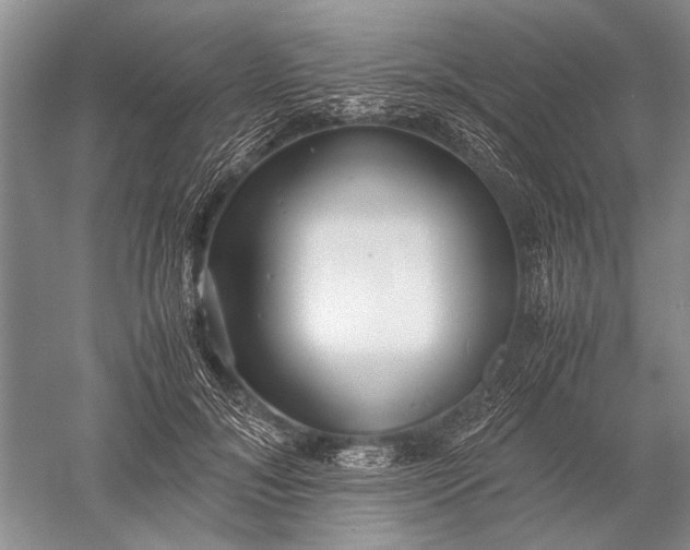 X0000052560700200507152226