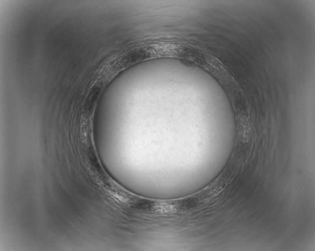 X0000052560701200507152226