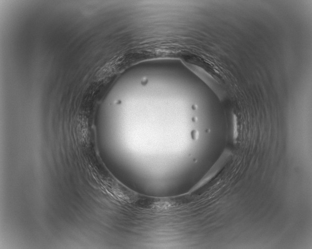 X0000052560704200507152226