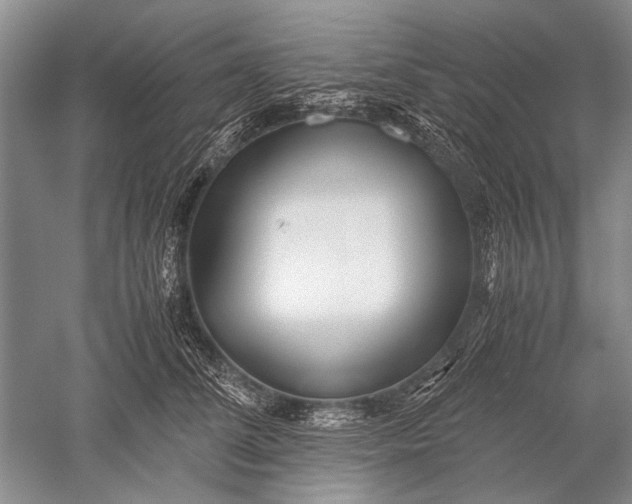 X0000052560708200507152226