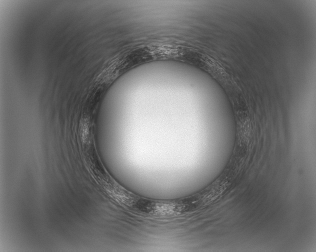 X0000052560709200507152226