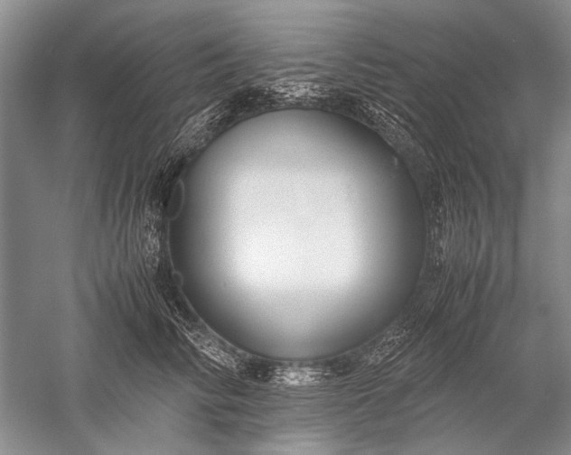 X0000052560710200507152226