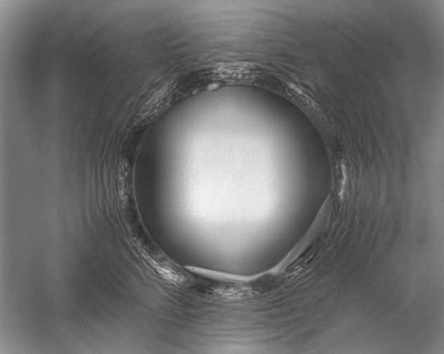 X0000052560712200507152226
