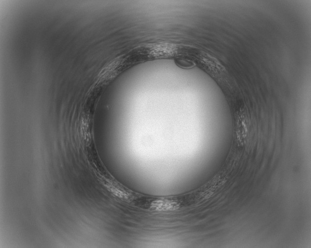 X0000052560714200507152226
