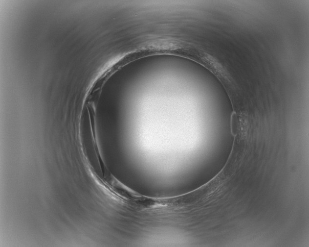 X0000052560726200507152225
