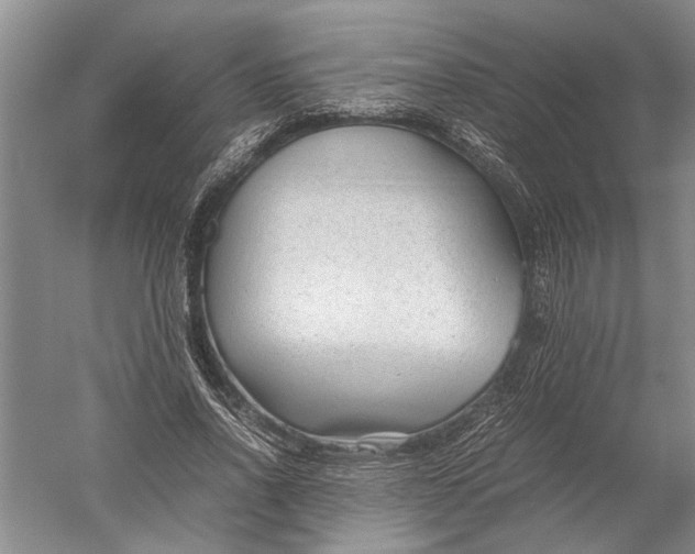 X0000052560734200507152225