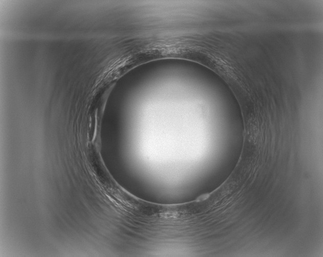 X0000052560740200507152225