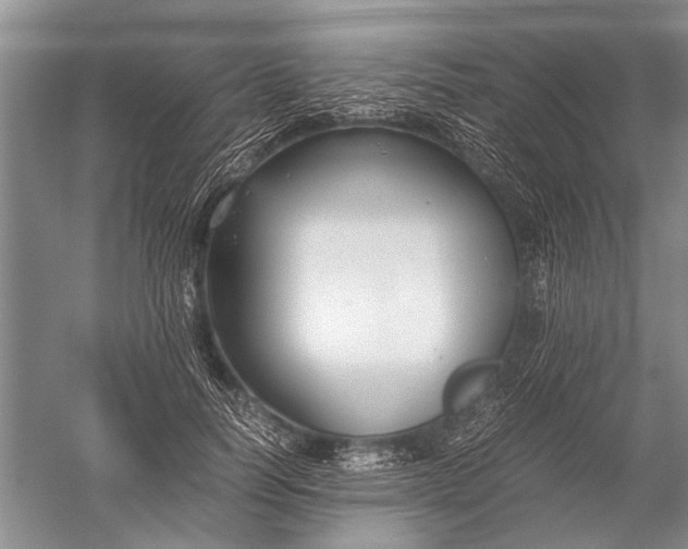 X0000052560746200507152225