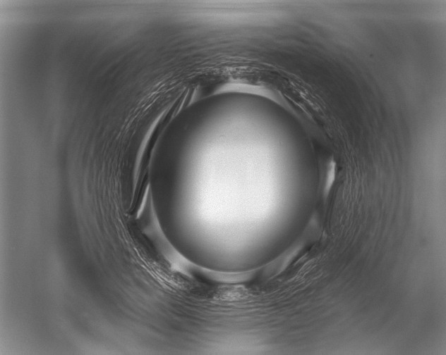 X0000052560750200507152225