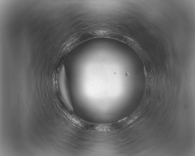 X0000052560762200507152226