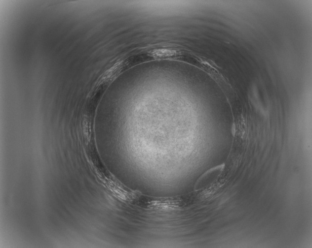 X0000052560763200507152226