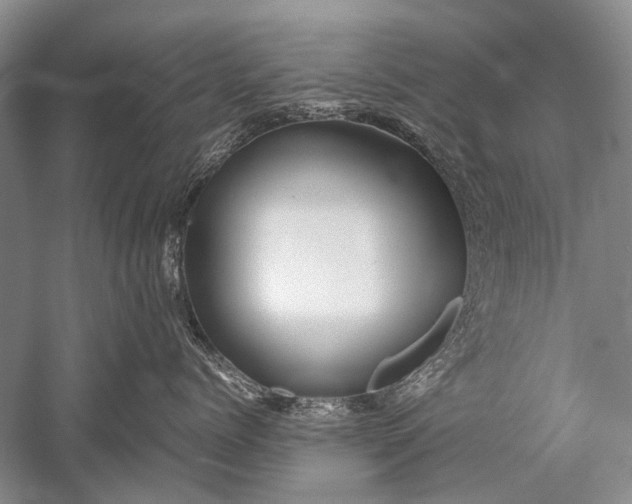 X0000052560768200507152226