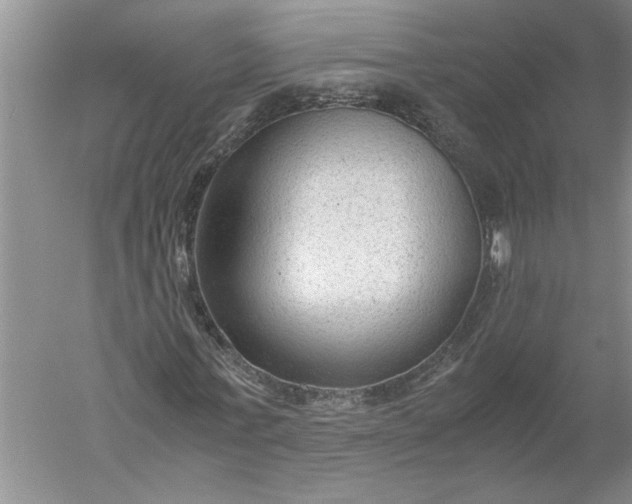 X0000052560771200507152225